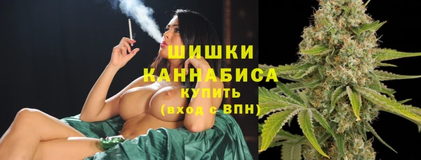 прущие крисы Пересвет