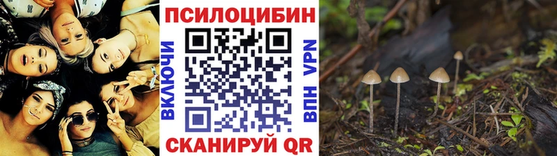 Псилоцибиновые грибы Psilocybine cubensis  ОМГ ОМГ ссылки  Пыталово  где купить  